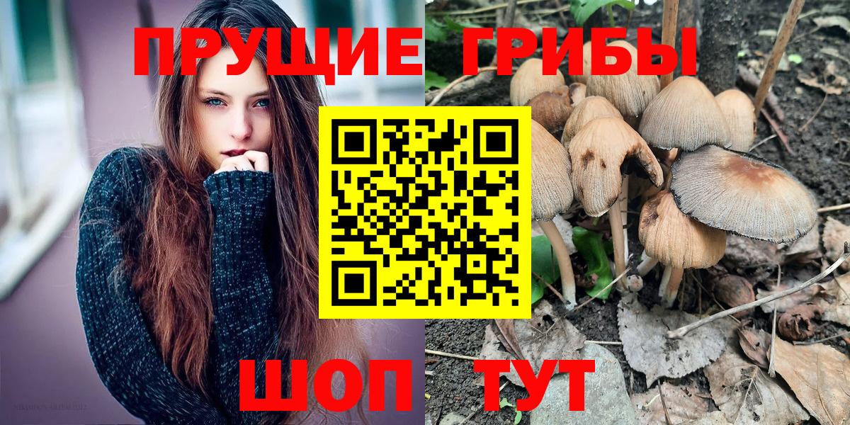 Галлюциногенные грибы MAGIC MUSHROOMS  Вход с VPN  Михайловск  Псилоцибиновые грибы прущие грибы 